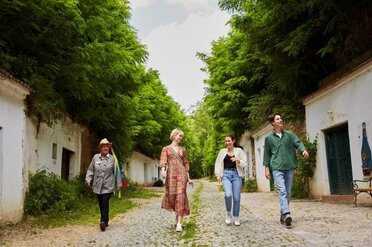 Vier Personen die durch eine Kellergasse wandern. Die Kellergasse ist in einem Holweg von Bäumen gesäumt.