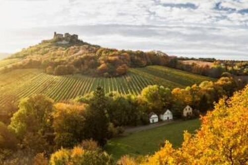 Panoramabild der Burgruine Falkenstein im herbst