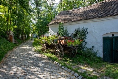 Kellergasse Weinviertel