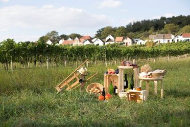 Zu sehen ist eine Gruppe an verschiedenen Produkten aus dem Weinviertel, mit Wein, Zwiebel, Äpfel, Honig, Getreide, Brot, Schinken, Weintrauben und Kürbisse, platziert auf Holzkisten. Ein Weinviertel-Hut mit einer Ratsche. Im Hintergrund ist ein Weingarten und in der Ferne eine Kellergasse zu sehen.